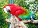 Zoo und botanischer Garten - Jászberény
