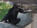 Xantus Janos Zoo - Győr 4