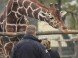 Xantus Janos Zoo - Győr 5
