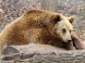 Wildpark - Budakeszi 6