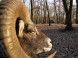 Wildpark - Budakeszi 8