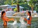 Aquarius Aquapark Nyiregyhaza 16