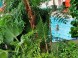 Aquasziget Thermal- und Erlebnisbad (Aquainsel), Esztergom 13