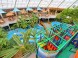 Aquaticum Mediterran-Erlebnisbad Debrecen 17