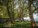 Balatonboglár - Strandbad Jankovich-telep 3