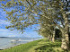 Balatonboglár - Strandbad Jankovich-telep 10