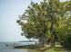Balatonboglár - Strandbad Jankovich-telep 11