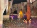 Hungarospa - Aqua Palace Indoor-Erlebnisbad 8