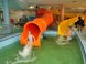 Hungarospa - Aqua Palace Indoor-Erlebnisbad 9