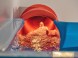 Heil- und Thermalbad Vulkan Therme 22