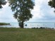 Freier Strand Móricz utca Balatonszárszó 8