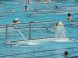 Palatinus Strandbad - Budapest 6