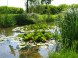 Thermal- und Erlebnisbad Lipot 29