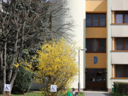 Erfrischung in Bükfürdő 2026 14