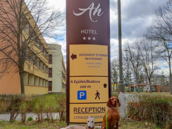 Erfrischung in Bükfürdő 2026 33