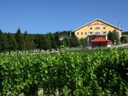 Wellness Wochenende 4